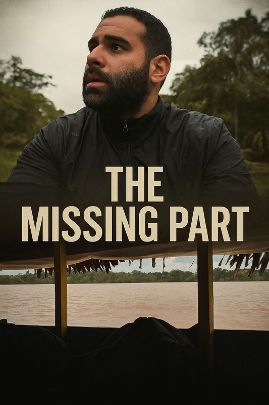 The Missing Part poster