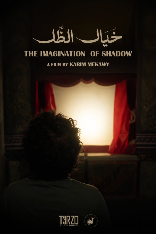 Imagination of Shadow poster