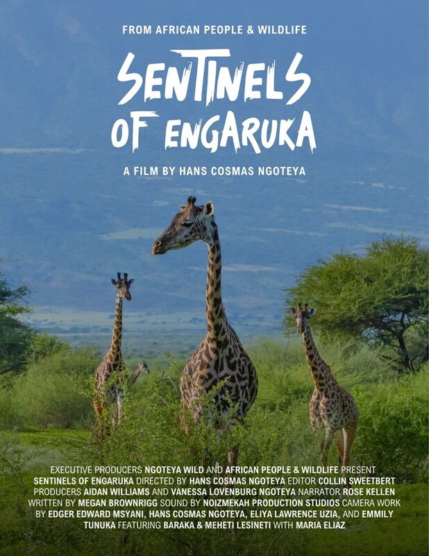 Sentinels of Engaruka poster