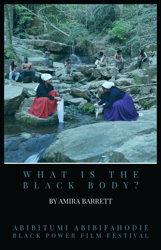 What Is The Black Body? poster